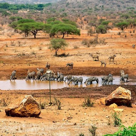 Kilaguni Serena Safari Lodge Tsavo Екстериор снимка