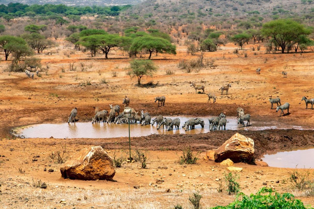 Kilaguni Serena Safari Lodge Tsavo Екстериор снимка