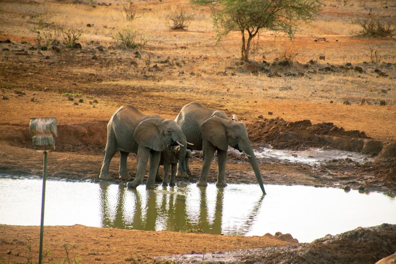 Kilaguni Serena Safari Lodge Tsavo Екстериор снимка