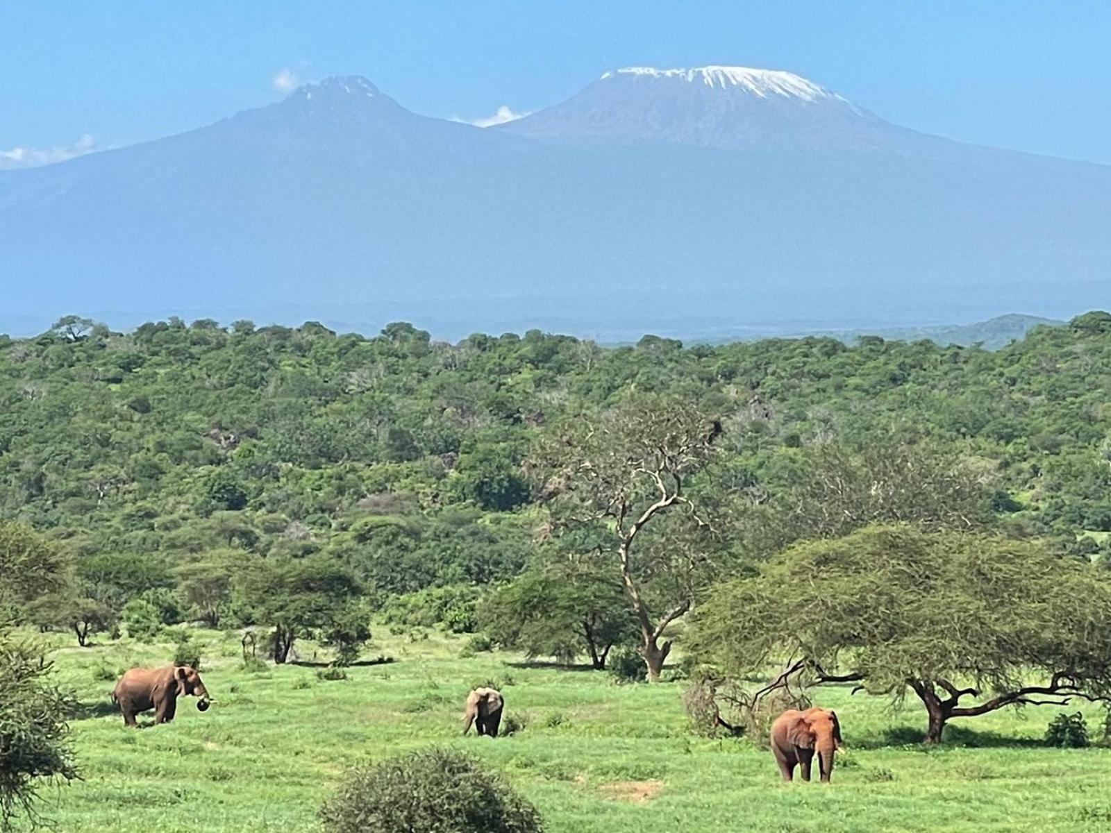 Kilaguni Serena Safari Lodge Tsavo Екстериор снимка