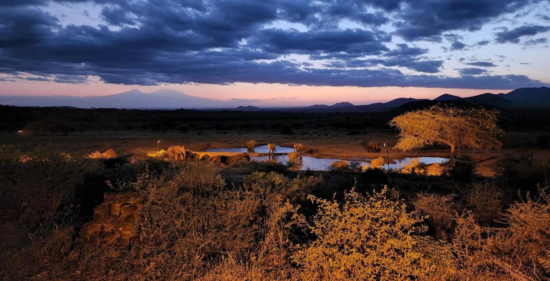Kilaguni Serena Safari Lodge Tsavo Екстериор снимка