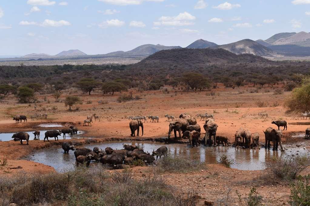 Kilaguni Serena Safari Lodge Tsavo Съоръжения снимка