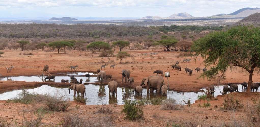 Kilaguni Serena Safari Lodge Tsavo Съоръжения снимка